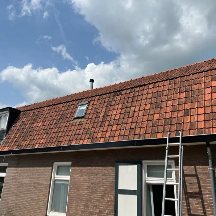 Dak met mos en aanslag vóór softwash dakreiniging in Rotterdam