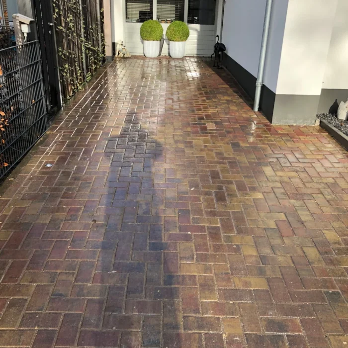 Schone straat na softwash reiniging rondom woning in Rotterdam